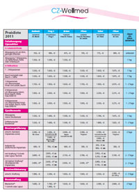 Preisliste CZ-Wellmed