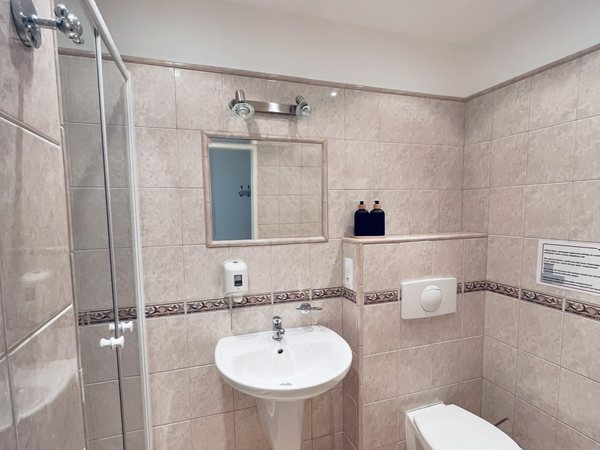 Bathroom in the patient room