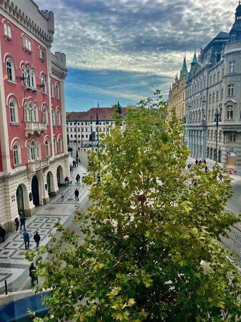 Ausblick aus der Klinik
